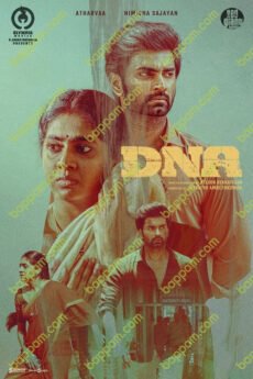 iBOMMA - Watch iBomma Telugu Movies |iBOMMA.ONE Bappam tv